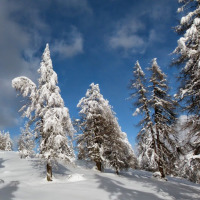 Profil für Benutzer Franz Hinternberg 