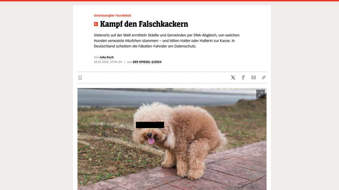Der Spiegel