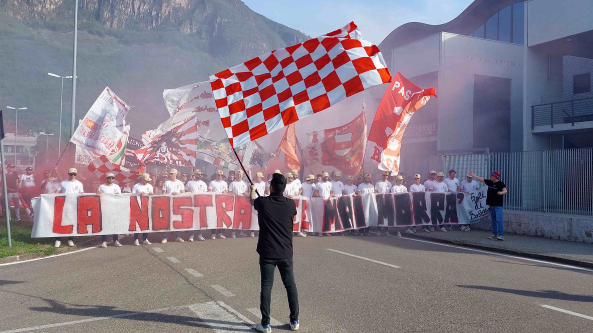 tifosi hcb