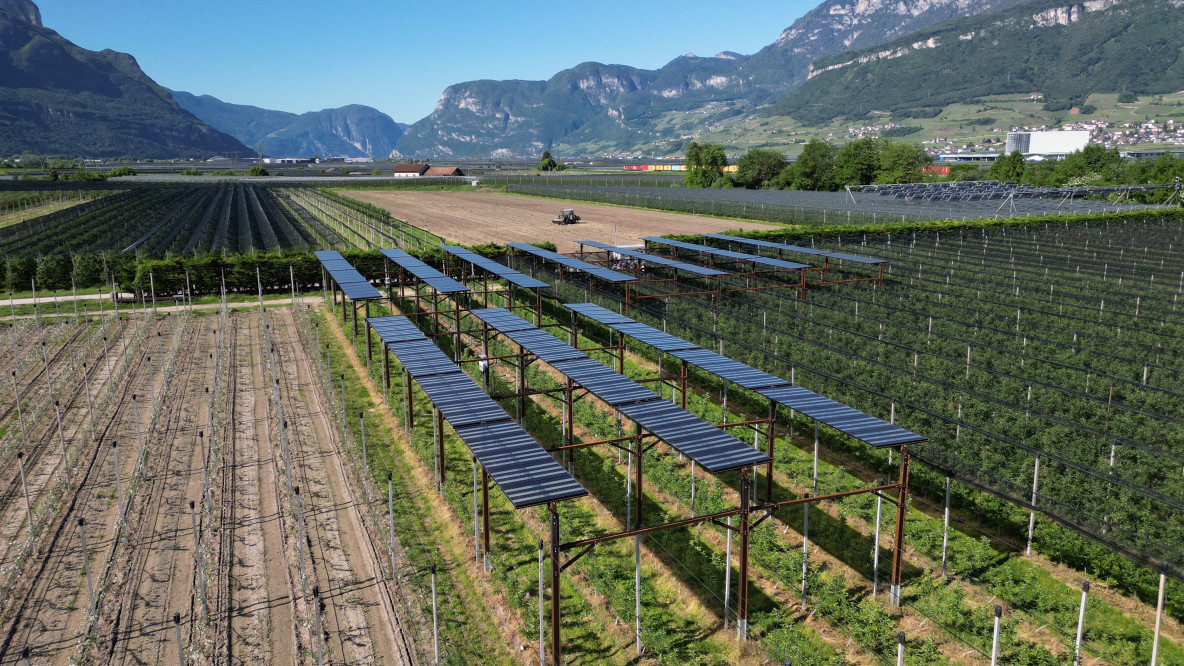 Agri-Photovoltaik Auer
